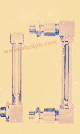 耐压数显小型管式液位计